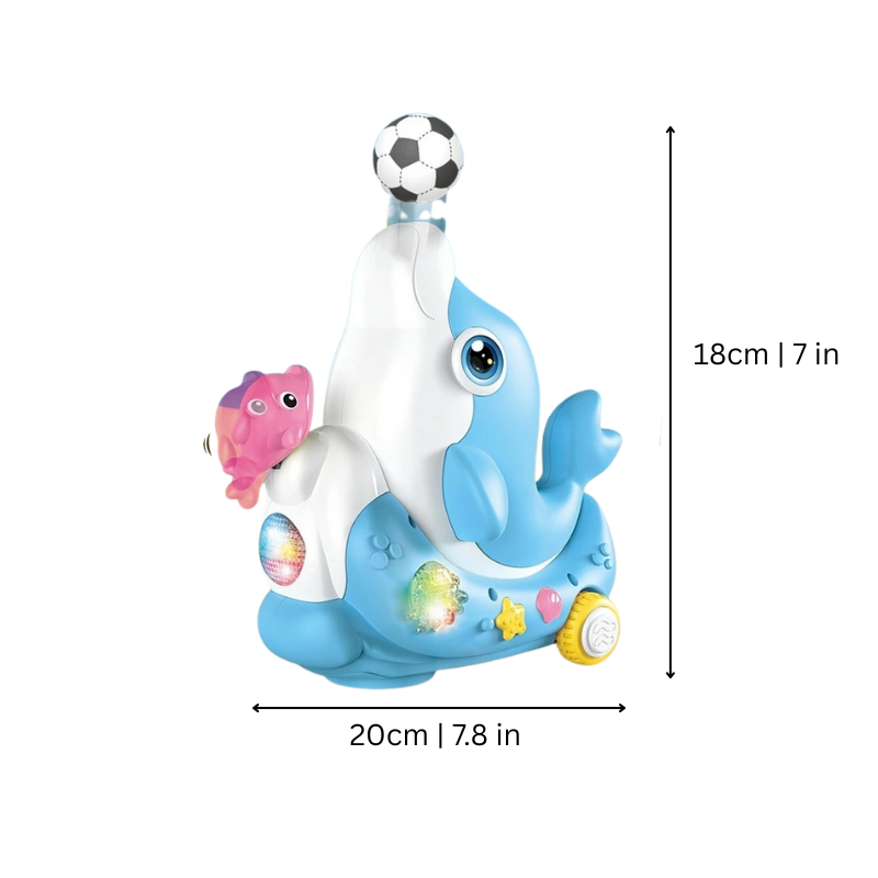 AeroDolph | Rijdende Dolfijn